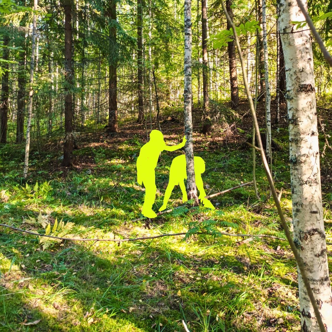 Ihmishahmoja kesäisessä metsässä.