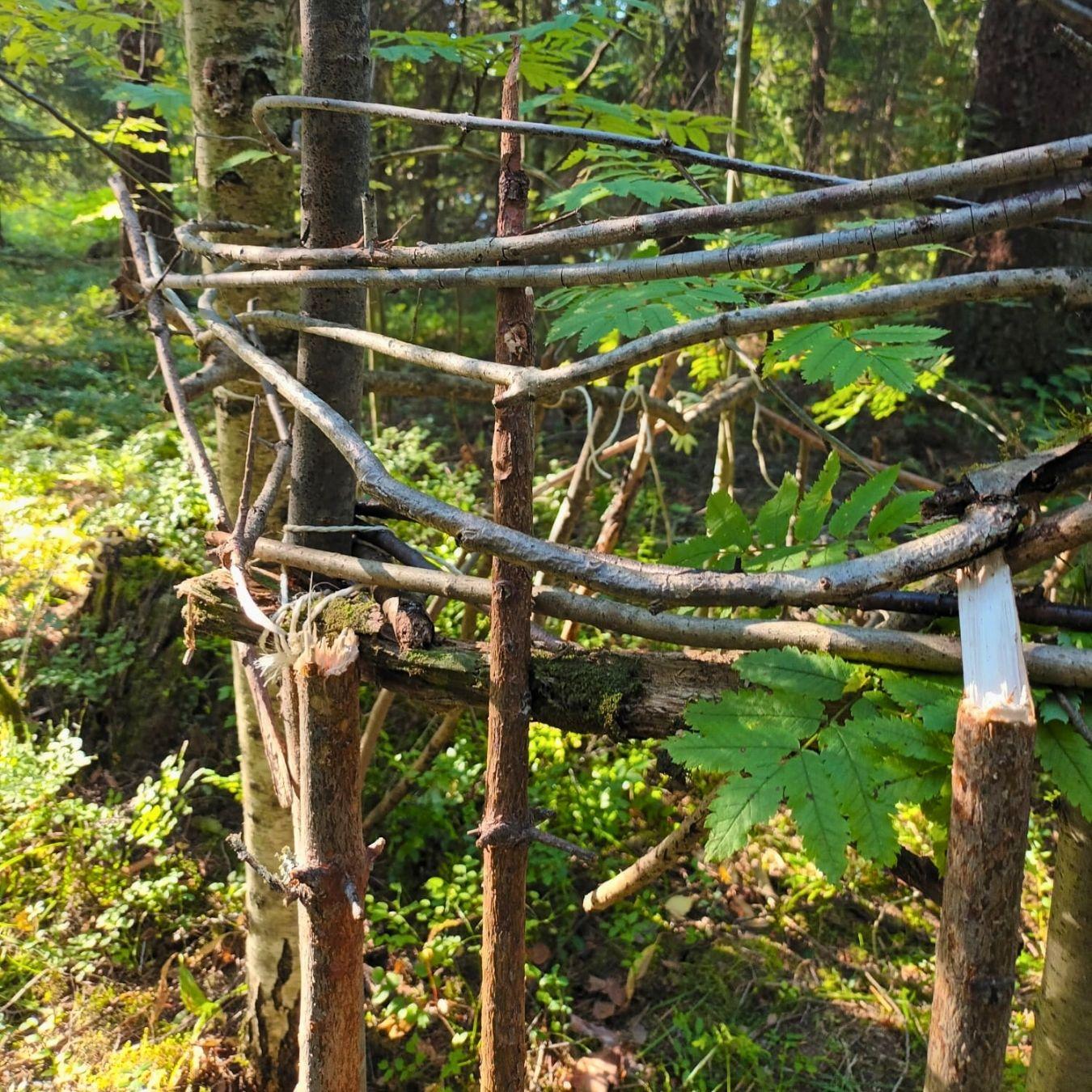Oksista tehty rakennelma metsässä.